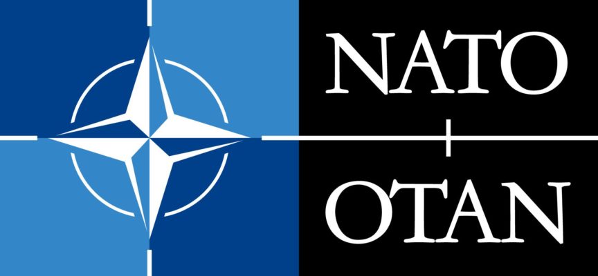 Nato Internship Programme 2023 per studenti universitari e neolaureati