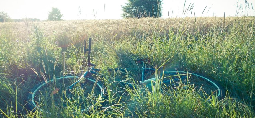 Bike The Nobel, la Bici come candidata al Premio Nobel per la Pace