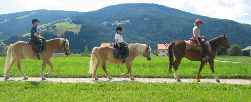 SVE in Croazia nell’equitazione terapeutica