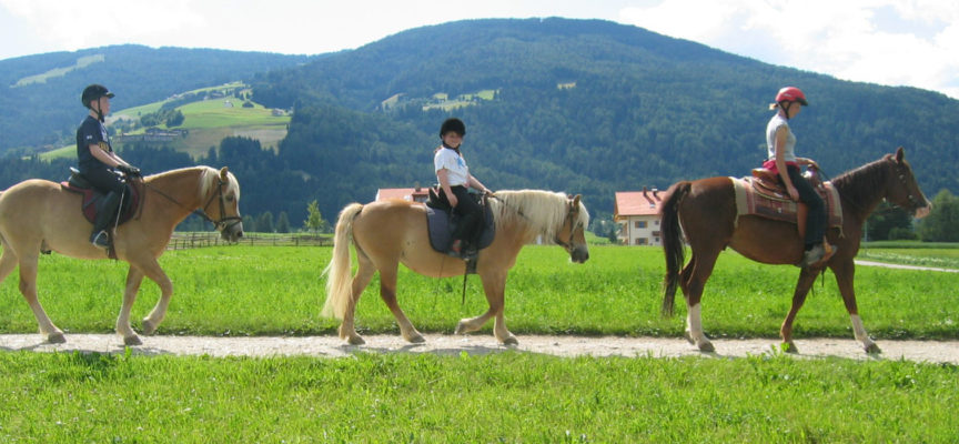SVE in Croazia nell’equitazione terapeutica
