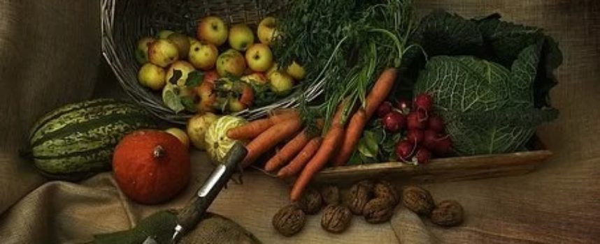 Ministero delle Politiche Agricole Alimentari e Forestali attiva bandi di finanziamento per oltre 31 milioni ai Distretti del cibo e Distretti Xylella