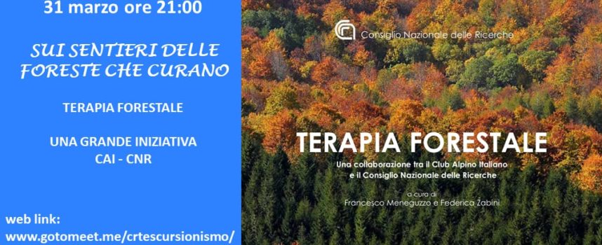 Terapia Forestale: sul sentiero delle foreste che curano