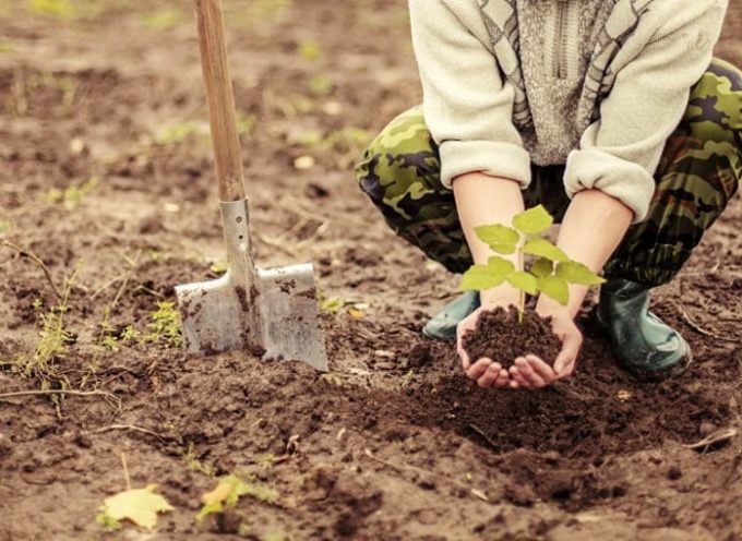 Giovanisì: premio a fondo perduto per imprenditori agricoli under 41 (scadenza 31 ottobre 2024)