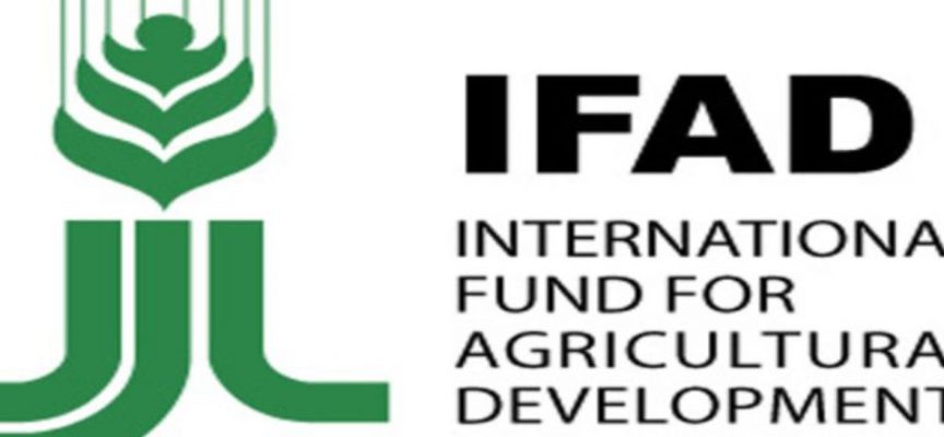 Stage retribuiti IFAD, Fondo Internazionale per lo Sviluppo Agricolo, per studenti e neolaureati