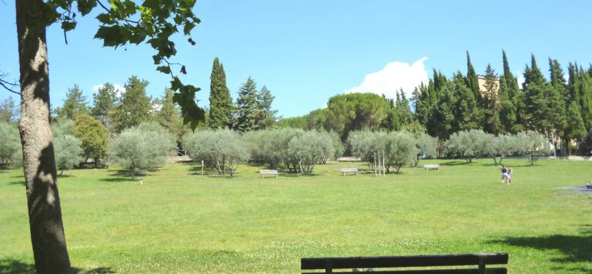 Il bando Sport nei Parchi: il Comune di Arezzo mette a disposizione una porzione del parco del Pionta