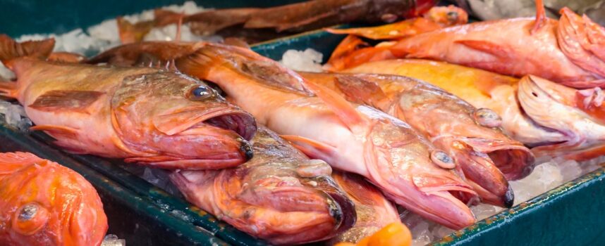 EURES: Cercasi addetti produzione nel settore dell’allevamento ittico in Norvegia