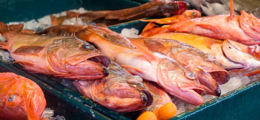 EURES: Cercasi addetti produzione nel settore dell’allevamento ittico in Norvegia